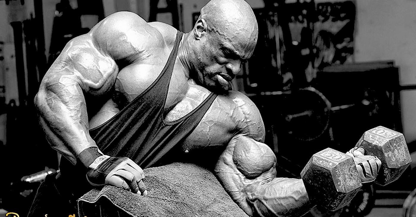Iron Library - All Workout Programs in One Place