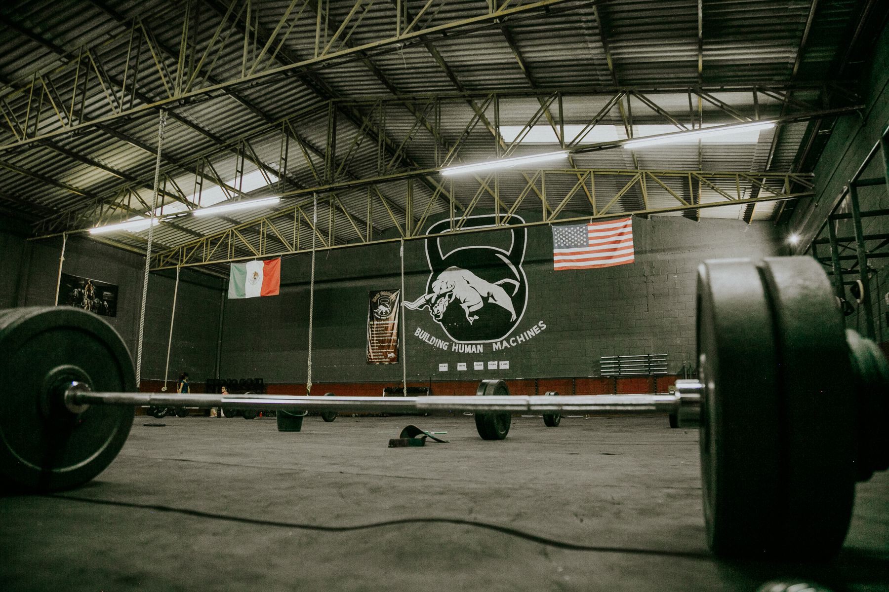 The Best Beginner Powerlifting Programs